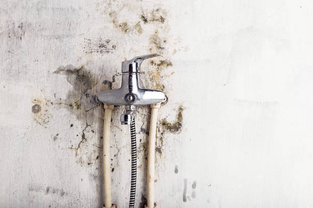 Mold Removal and Inspection in Montpelier, ID