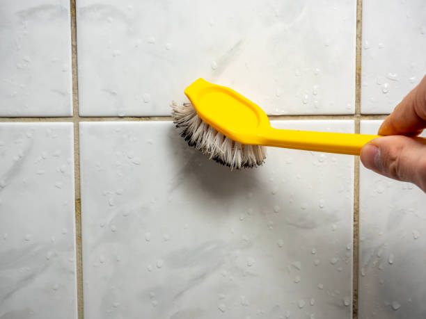 Professional Mold Removal in Montpelier, ID