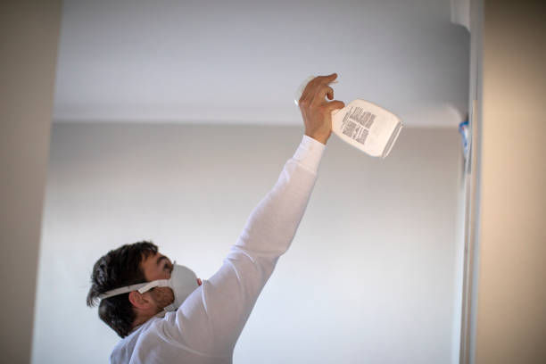 Best Mold Removal Company Near Me  in Montpelier, ID