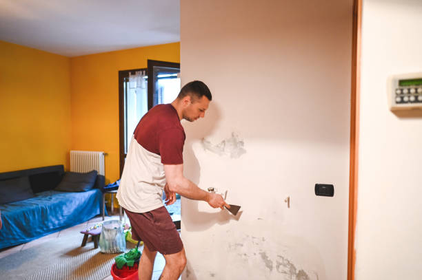 Best Mold Removal and Inspection  in Montpelier, ID